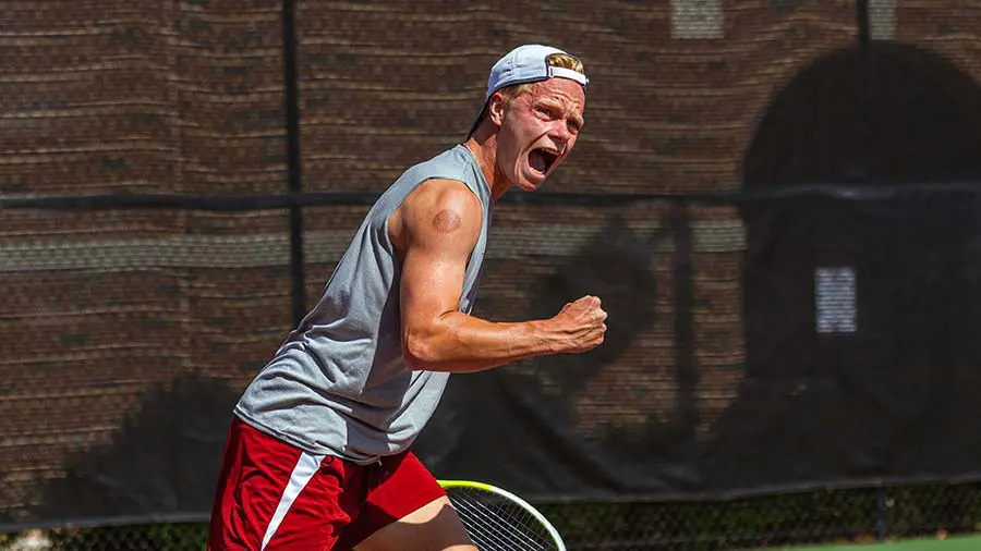 fans cheering in the stands
